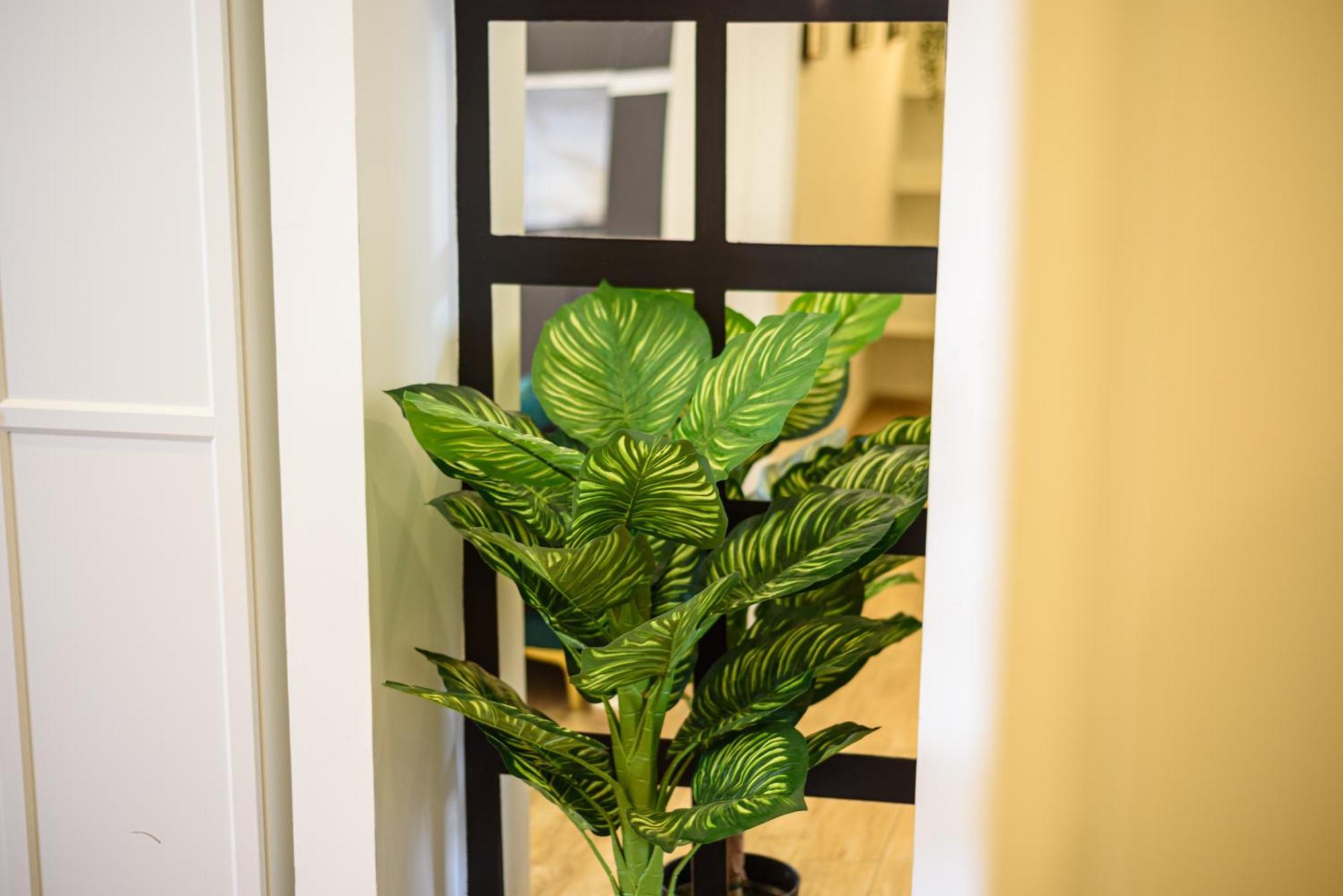 Luxury Apartment In Central City ナポリ エクステリア 写真